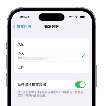 魏都苹果维修服务分享如何在iPhone上使用双卡 